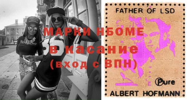 гашик Янаул
