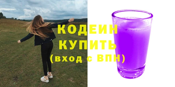 гашик Заводоуковск