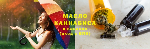 гашик Заводоуковск