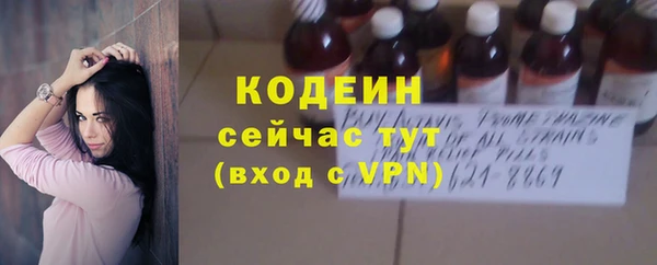гашик Заводоуковск