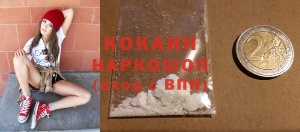 гашик Янаул