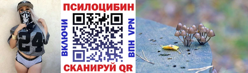 купить   shop официальный сайт  Псилоцибиновые грибы Cubensis  Магадан 